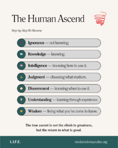 Spiral of becoming: from Ignorance to Wisdom.