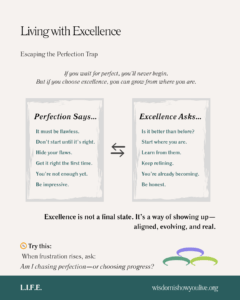 Comparison between Perfection and Excellence.