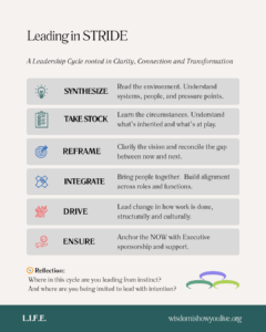Leadership practices: Synthesize, Take Stock, Reframe, Integrate, Drive, Ensure.