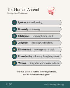 Diagram showing stages of human development toward wisdom.