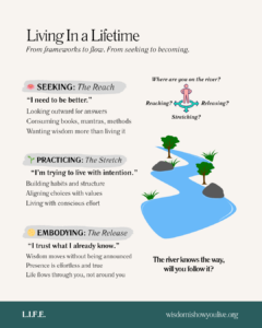 Diagram illustrating embodiment of wisdom through presence and practice.