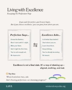 Infographic comparing perfection mindset with excellence mindset.