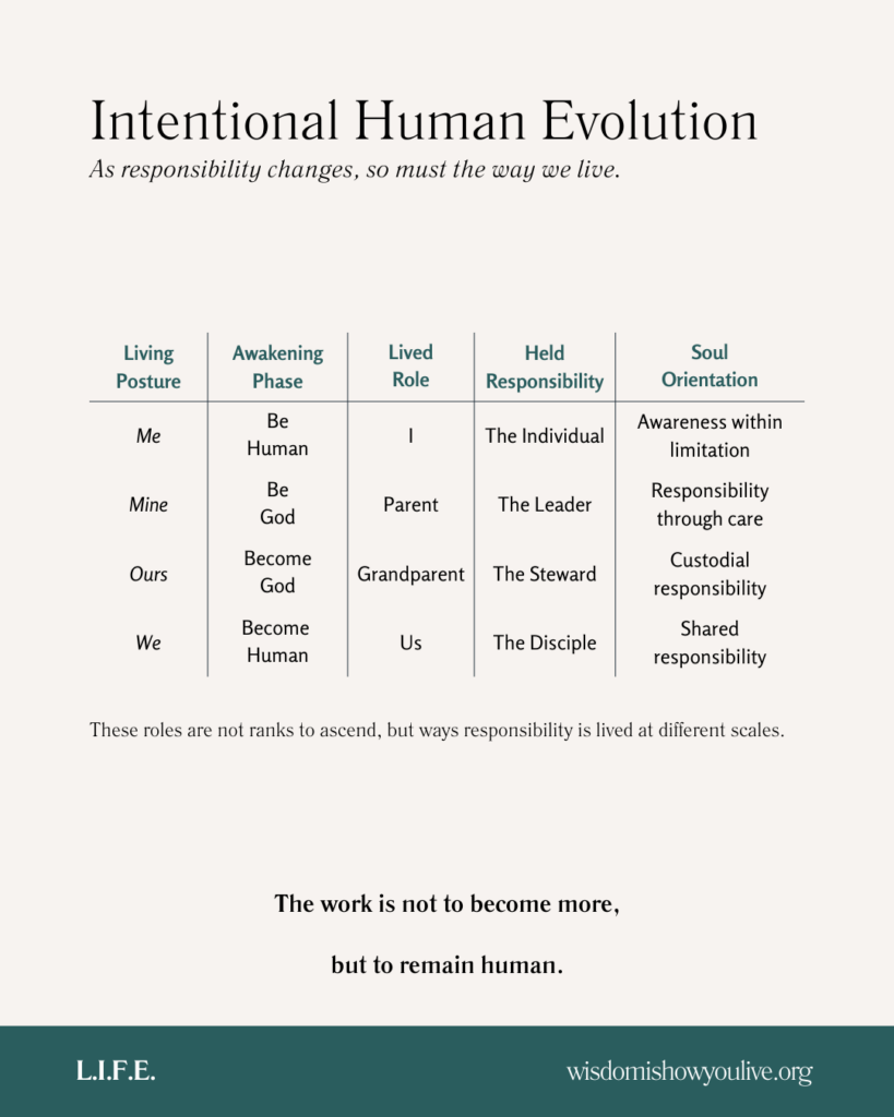 Chart illustrating stages of responsibility across human life roles.