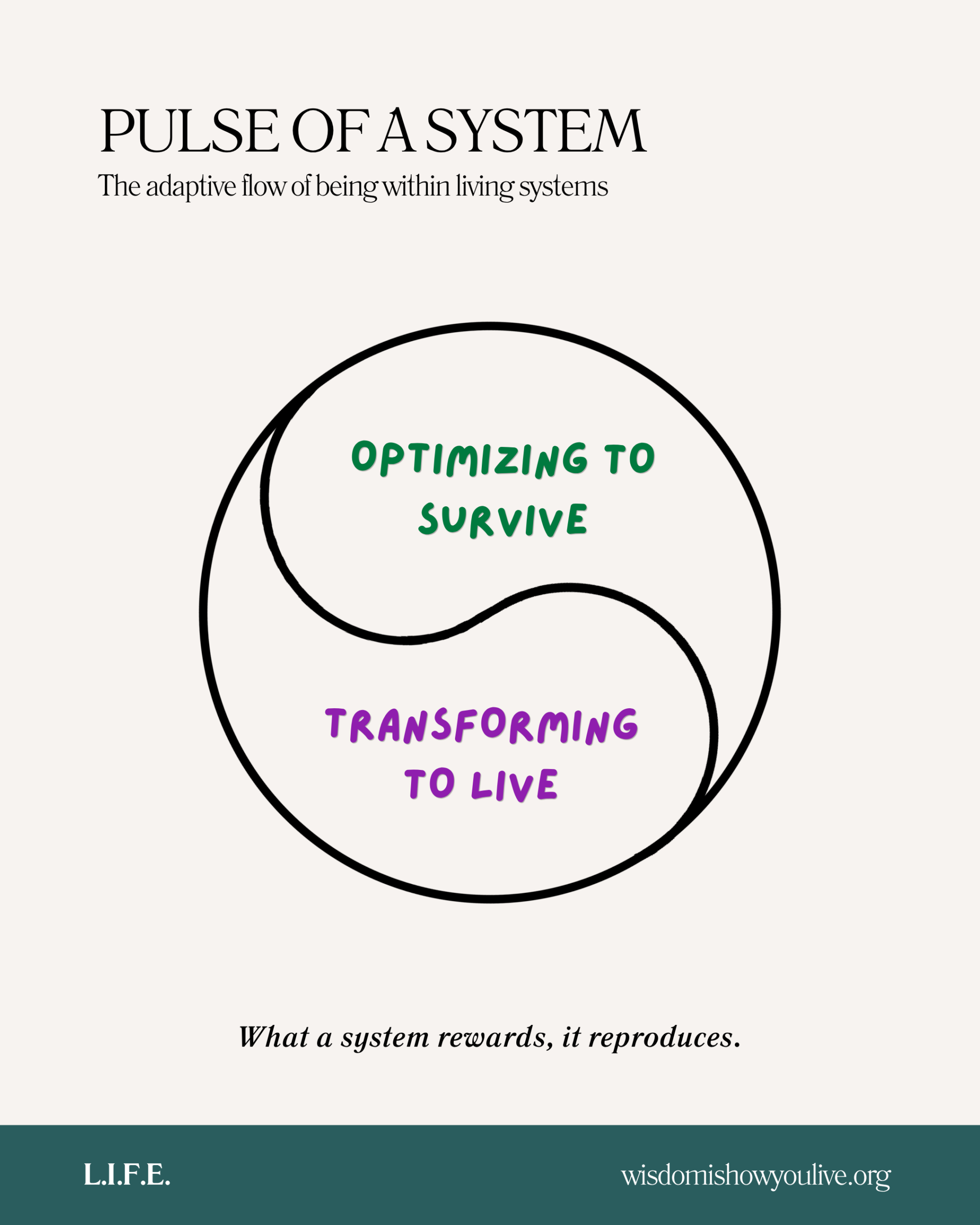 Pulse of a System